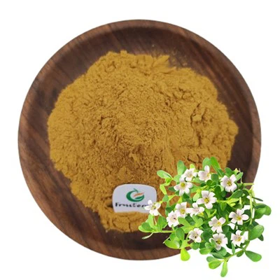 Bacopa Monnieri ekstrakt