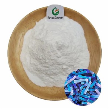 Lactobacillus bulgaricus prah