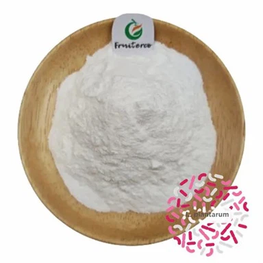 Lactobacillus plantarum prah